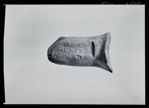 anse d'amphore commerciale, image 1/1