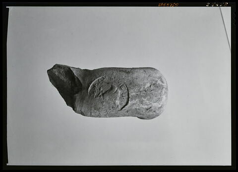 anse d'amphore commerciale, image 1/1