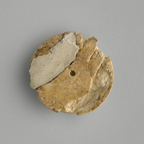 pion, image 2/2