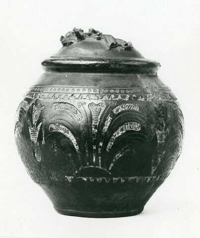 pyxis, image 1/1