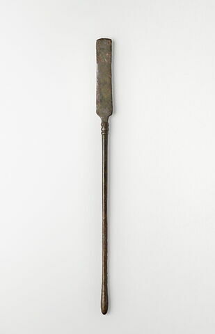 spathomela = sonde-spatule, image 1/1