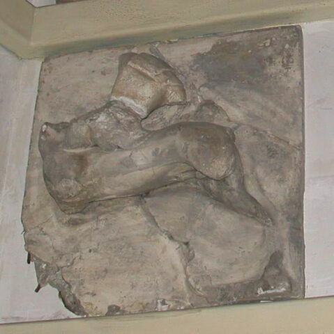 métope  ; Tirage intégral d'une métope représentant une Amazone cavalière