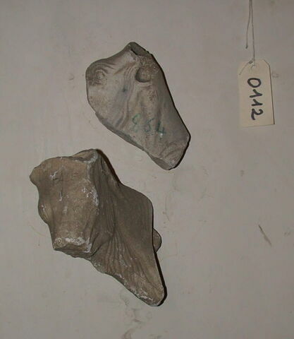Fragment de tirage d’une métope avec deux têtes de bœufs, image 1/1