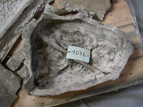 fragment, image 1/1