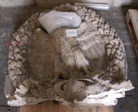 Fragment de tirage du décor de la colonne Trajane Tirage d’un élément de décor de la colonne Trajane représentant un aigle dans un médaillon