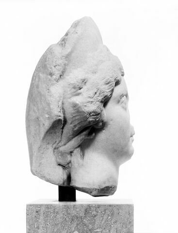 profil droit ; détail © 1991 Musée du Louvre / Christian Larrieu