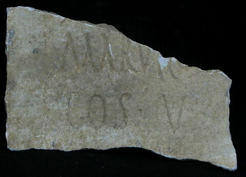 stèle  ; inscription