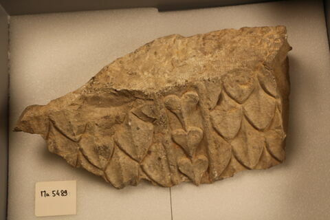 sarcophage, image 1/3