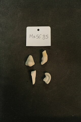 Lot de fragments de nez et d'oreilles dérestaurés, image 1/1