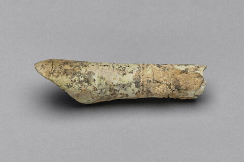 tube, image 1/3