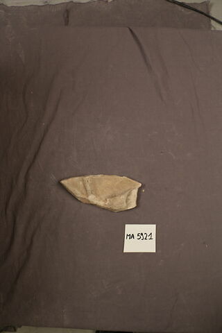 sarcophage, image 1/2