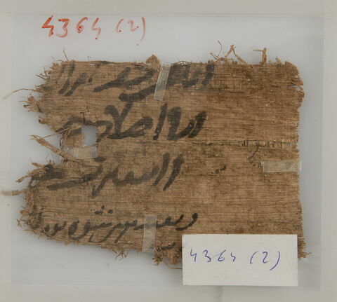 Papyrus, image 1/1