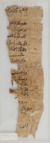 Papyrus, image 1/2