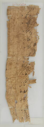 Papyrus, image 2/2