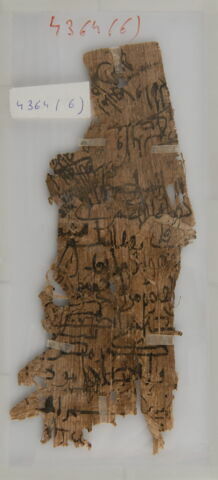 Papyrus, image 1/1