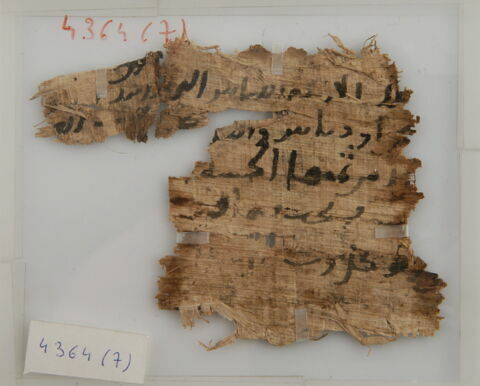 Papyrus, image 1/1