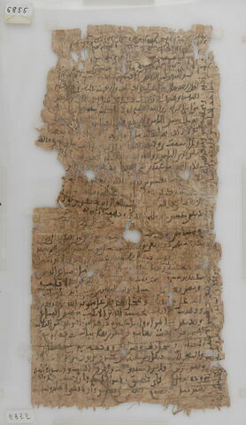 Papyrus, image 1/2