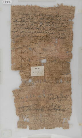Papyrus, image 2/2