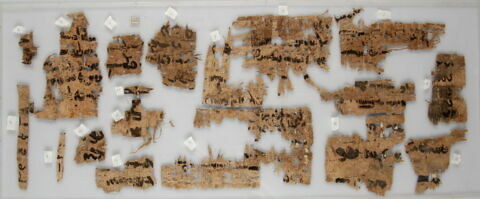 Papyrus, image 1/1