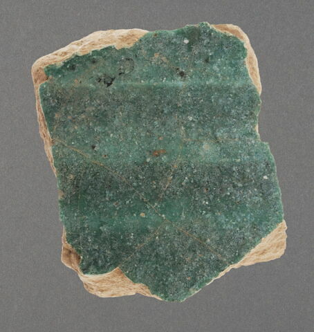 Tesson de coupe vert céladon, image 1/1