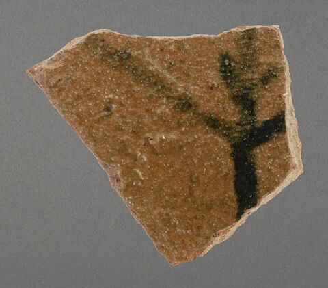 Fragment de coupe, image 1/1