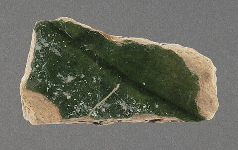 Fragment de paroi, image 1/1