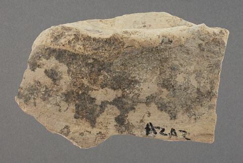 Fragment de fond, image 1/1