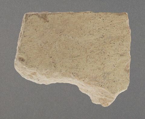 Fragment de paroi, image 1/1