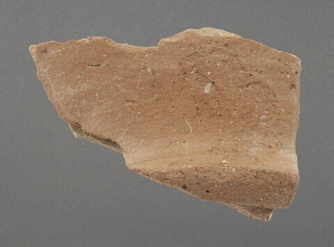 Base de coupe, image 1/1