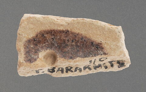 Tesson de coupe, image 1/1