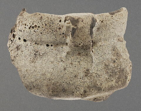 Haut de petit pot blanc, image 1/1