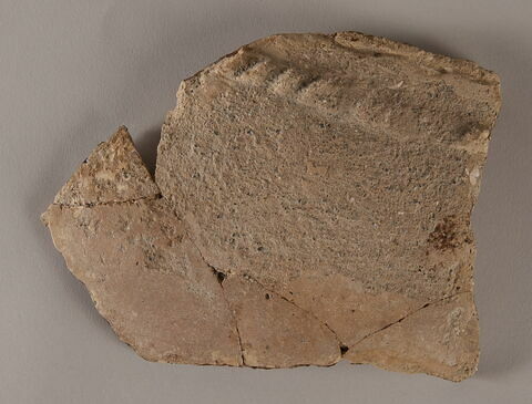 Cinq fragments de panse de jarre, image 1/1