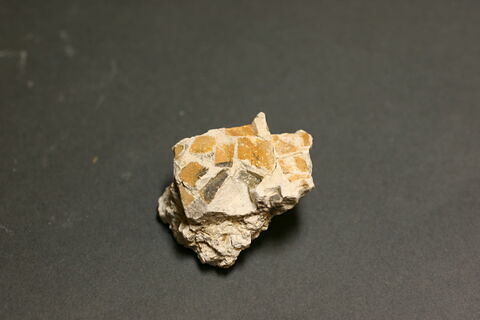 Fragment de mosaïque, image 1/2
