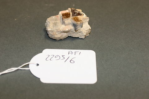 Fragment de mosaïque, image 2/2