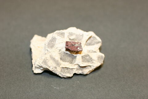 Fragment de mosaïque, image 1/2