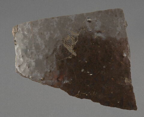 Fragment de paroi de vaisselle, image 1/1