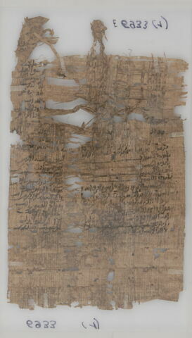 Papyrus, image 2/2