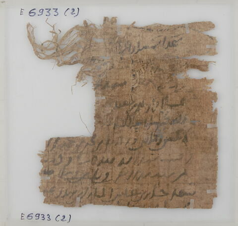 Papyrus, image 2/2