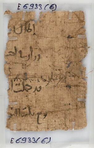 Papyrus, image 1/2