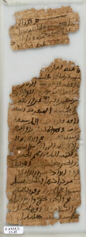 Papyrus, image 1/1