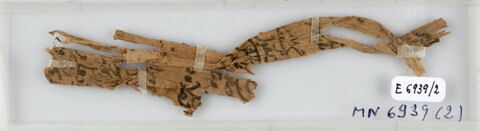 Papyrus, image 1/2