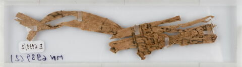 Papyrus, image 2/2