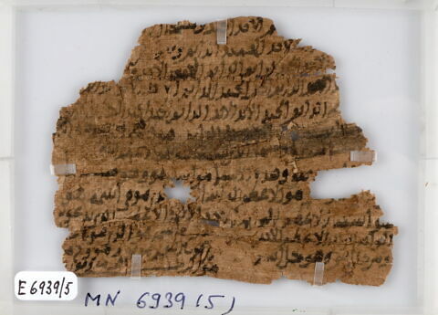 Papyrus, image 1/2