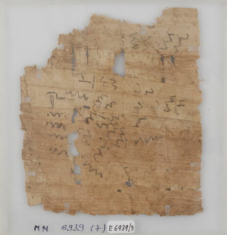 Papyrus, image 1/1