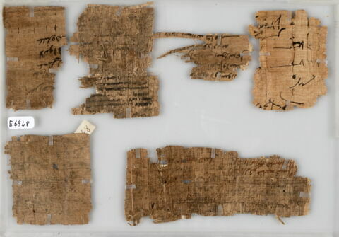 Papyrus, image 1/1