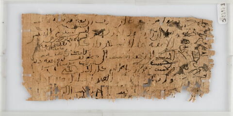 Papyrus, image 1/2