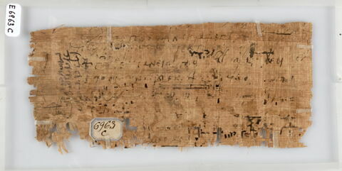Papyrus, image 2/2