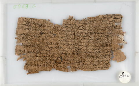 Papyrus, image 1/1