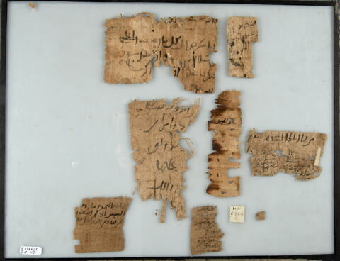 Papyrus, image 1/1