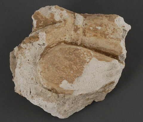 Fragment de stuc décoré d'un fleuron (?), image 1/1